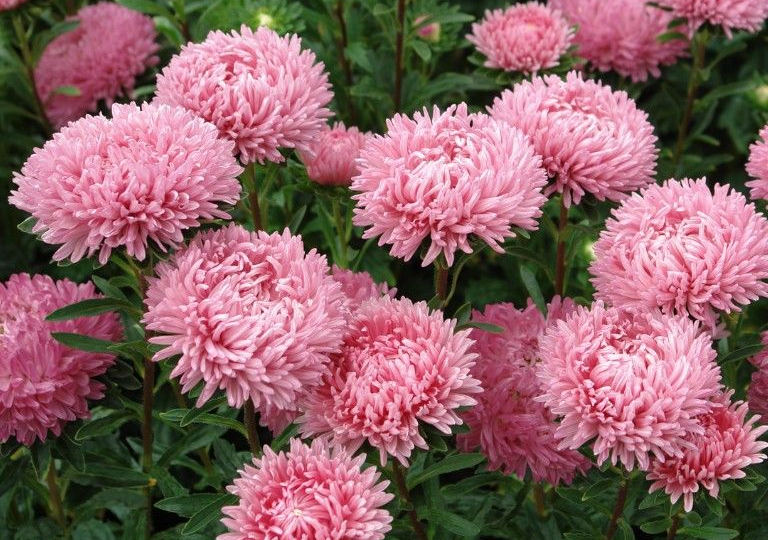 Астра для новичков: никакой магии, просто несколько хитростей