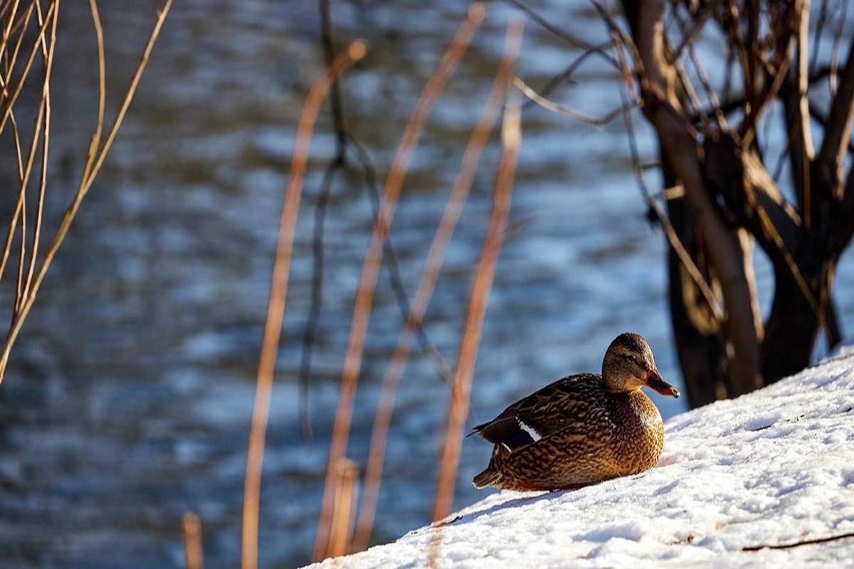    Фото: правительство Москвы, источник: mos.ru