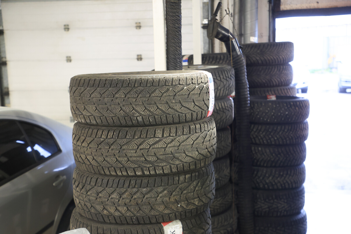 Фото: Александр Глуз / «Петербургский дневник»