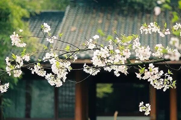 Провинция 江南, КНР. Источник: вичат