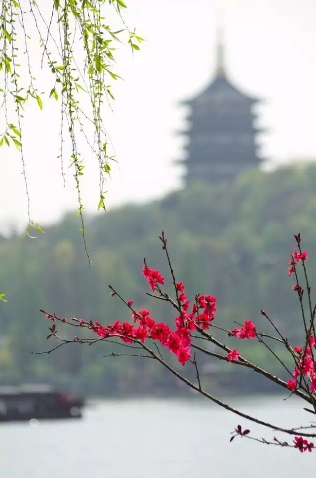 Провинция 江南, КНР. Источник: вичат