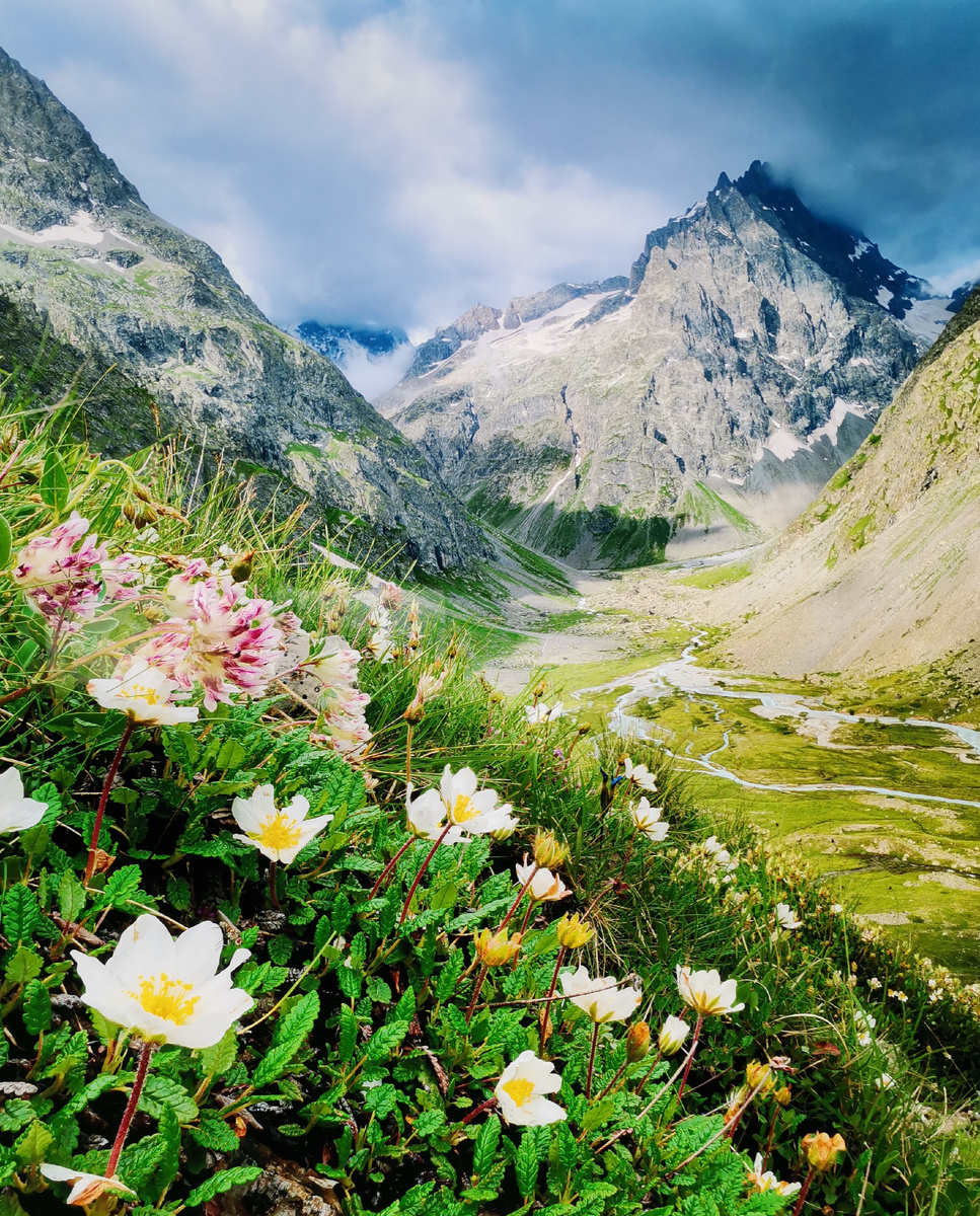 Земля и небо. Жизнь и камень. Вода и лёд. Свет и тьма. День и ночь. Чувства и знания.