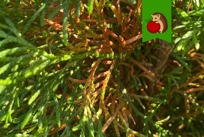 Чтобы такого не произошло