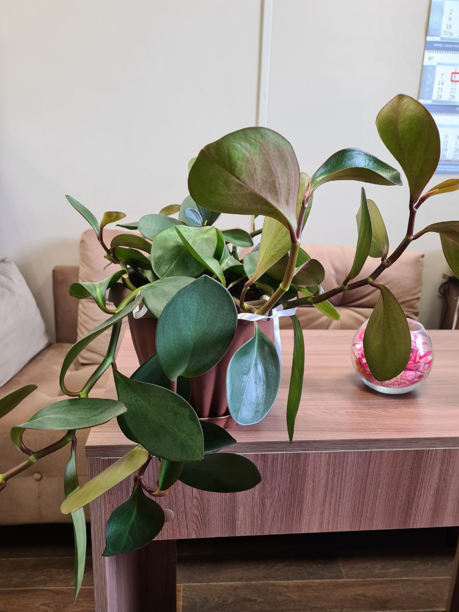 Фото из личного архива автора.