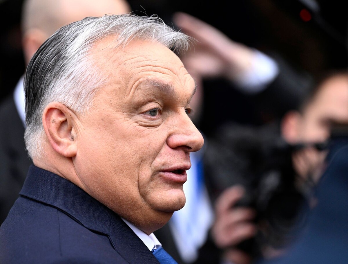     / Источник: © Global Look Press