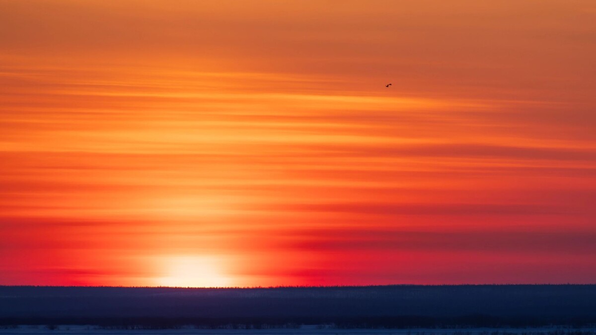   Фото: Федор Воронов / «Ямал-Медиа»