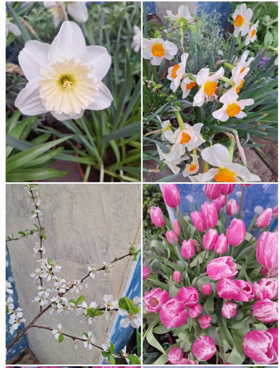 Фотоколлаж - собственность автора канала "ТАК НАДО".