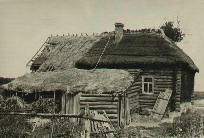 Взято из открытых источников интернета Яндекс.