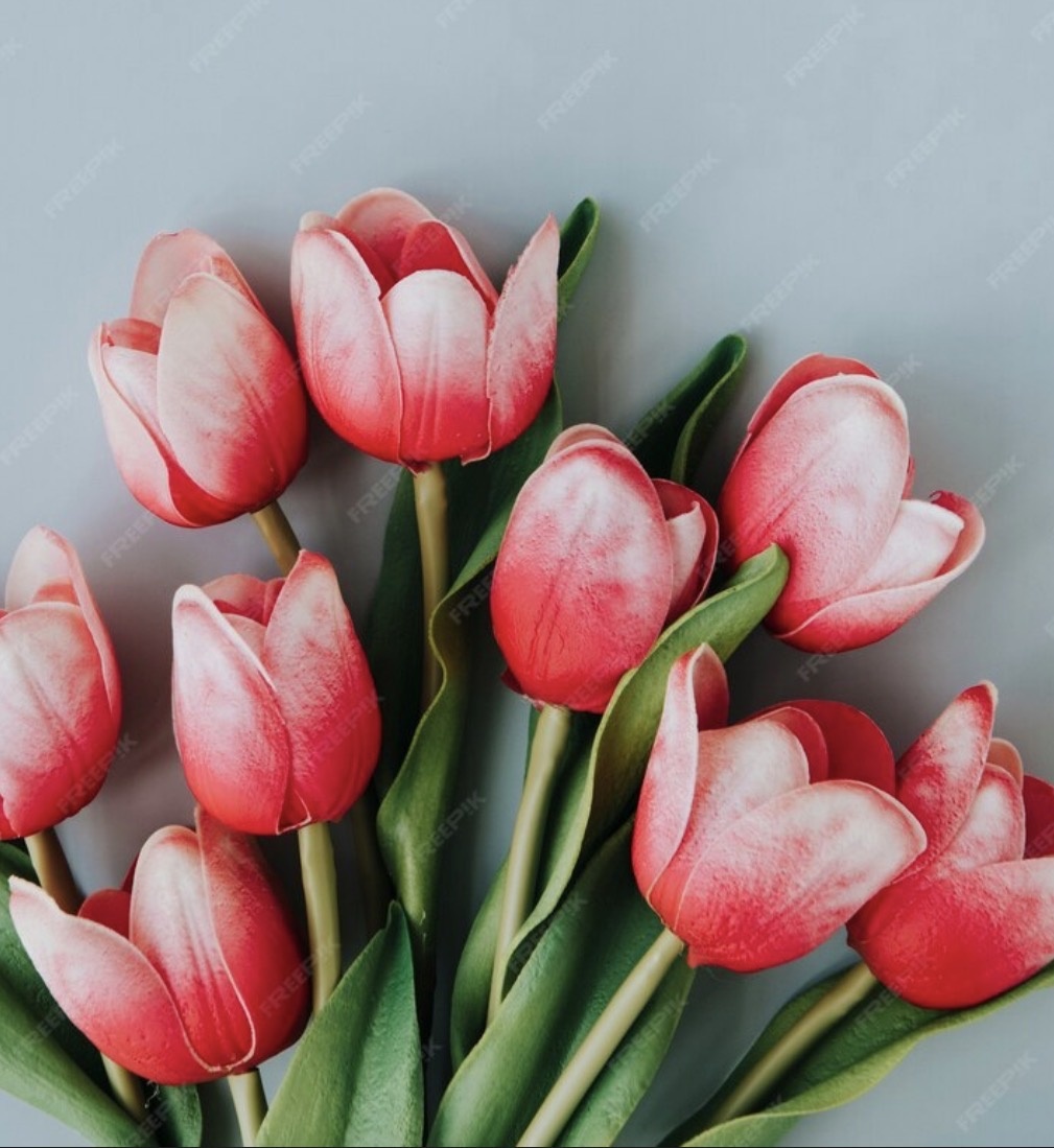 © Designed by Freepik is licensed under Public domain