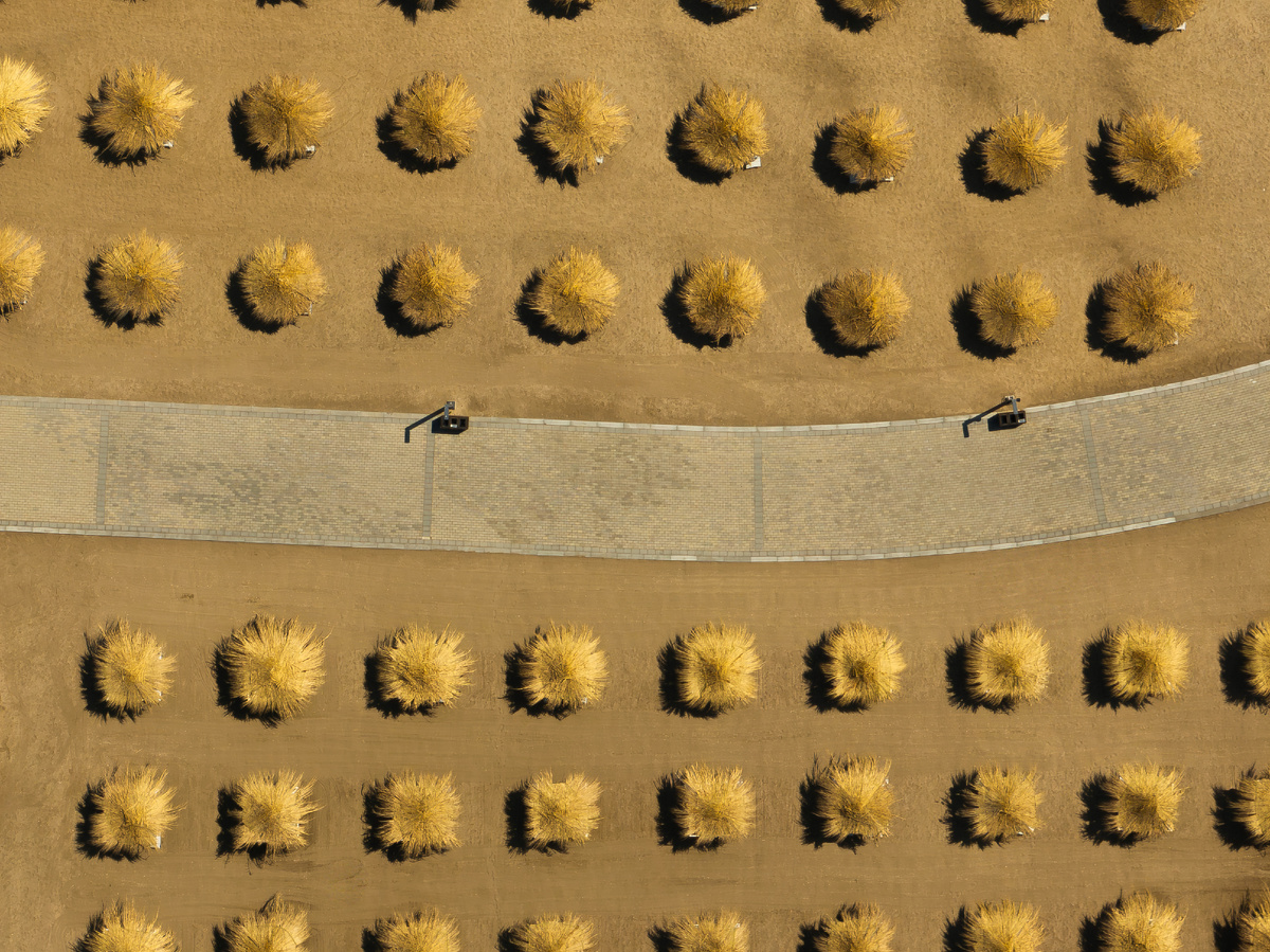  Пляжный отдых в Sea Breeze