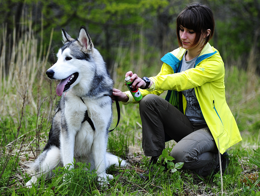    © Юрий Смитюк/ТАСС