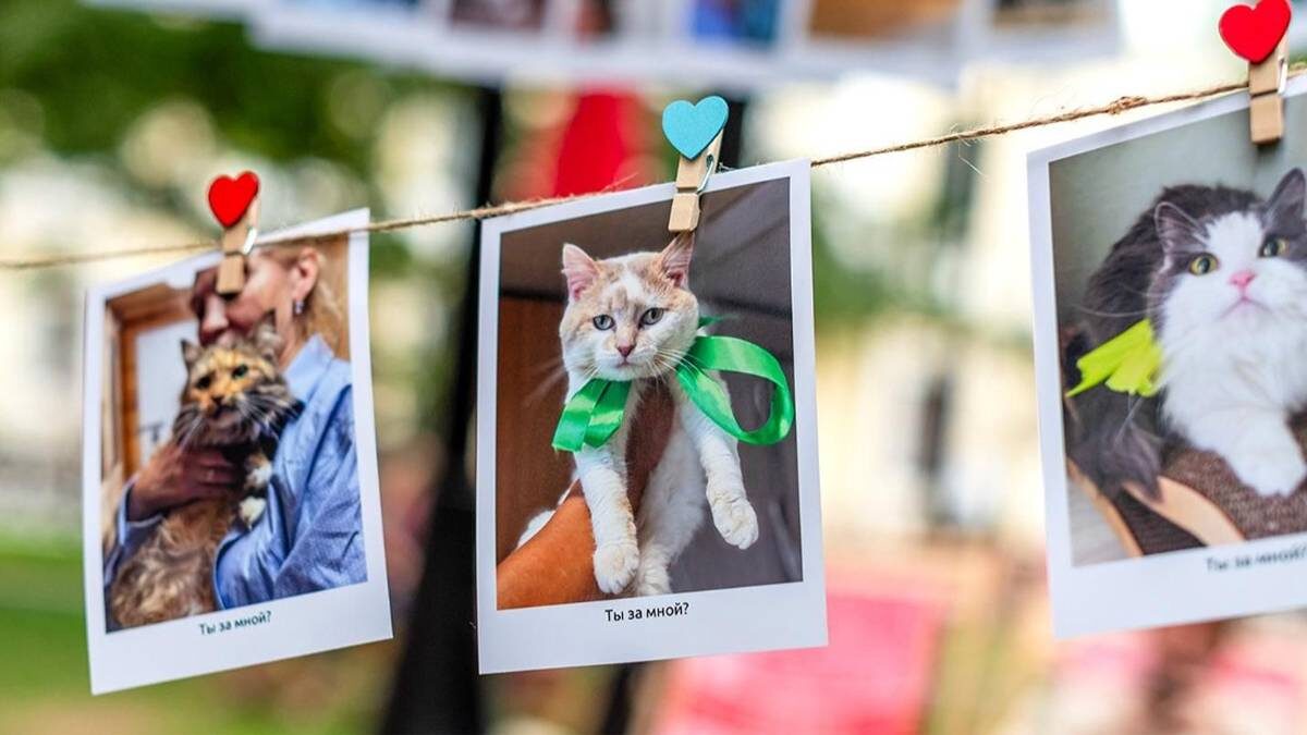    Фото: mos.ru / Официальный сайт мэра Москвы