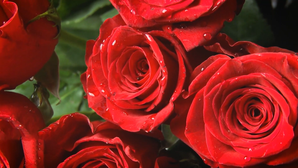 ФОТО: Кадр программы "Знаете ли вы, что?", РЕН ТВ