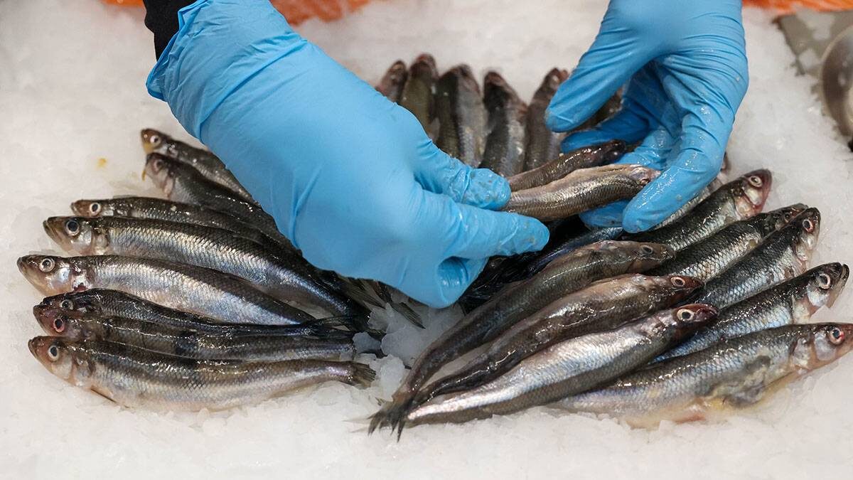    Фото: Ярослав Чингаев / АГН Москва