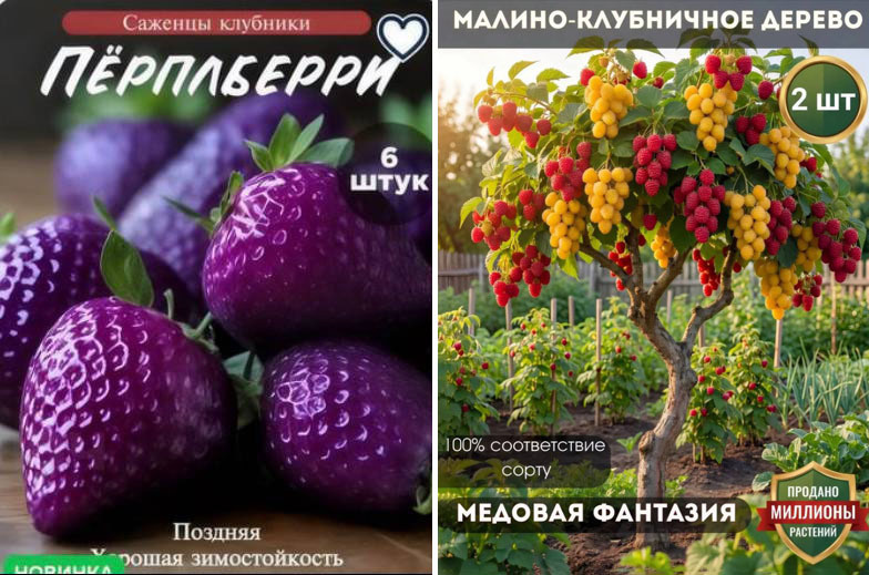     Саженцы клубники и малинового дерева. / Скриншот страницы интернет-магазина Wildberries