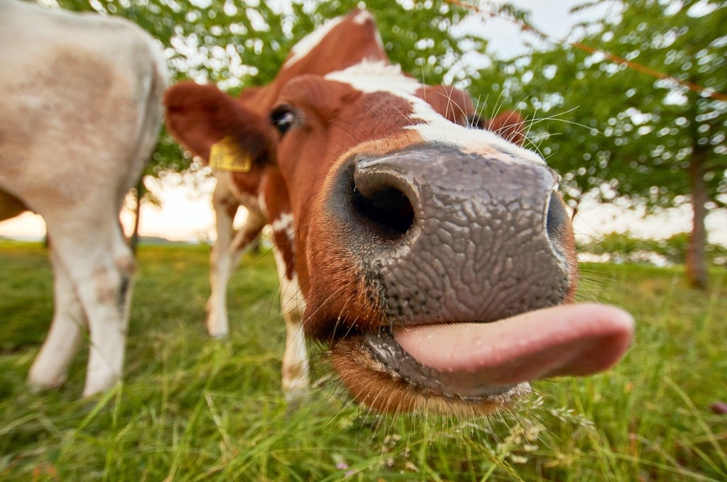    Фото © Unsplash.com