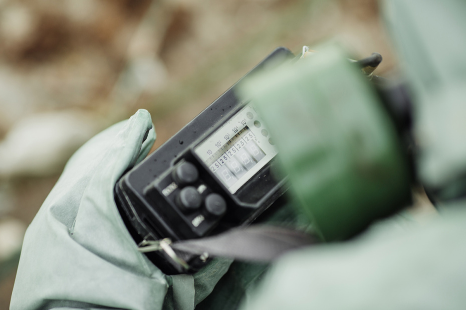    Shutterstock/FOTODOM