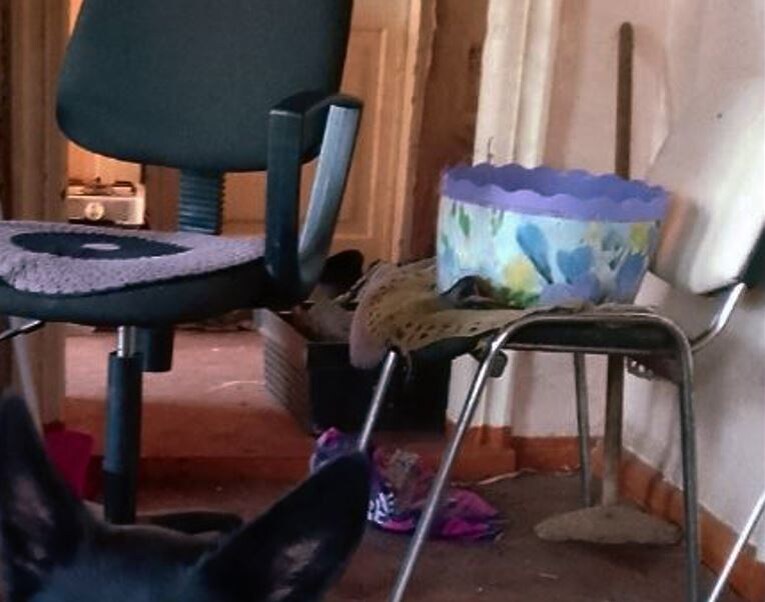 Полы вымыты до блеска!