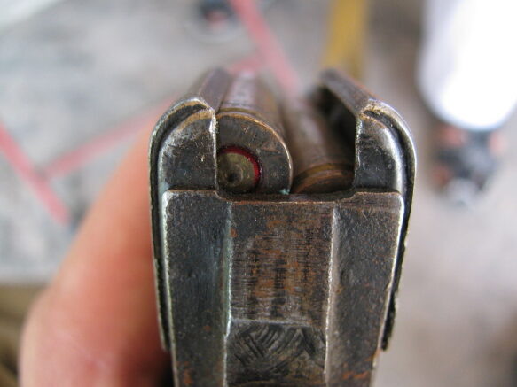    Фото: Todd Huffman / Wikimedia Commons