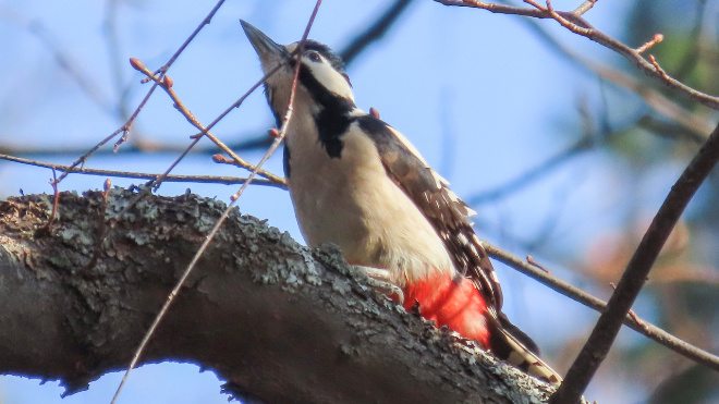 Фото: https://vk.com/wall-99022655_24960