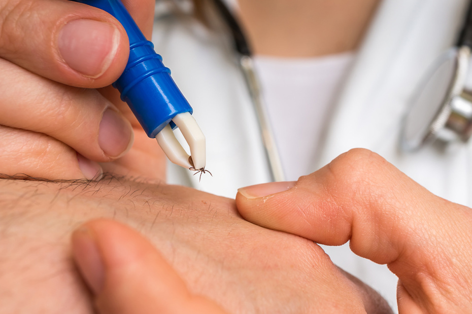    Shutterstock/FOTODOM