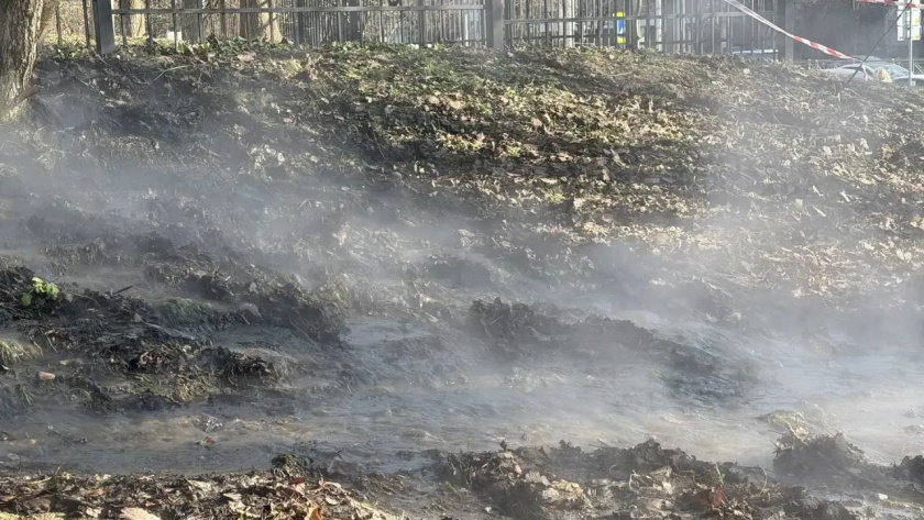    тг канал Елены Дятловой