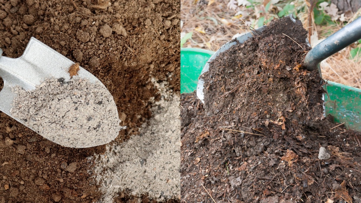 Перегной и зола в лунку — единственное, что нужно томату при посадке