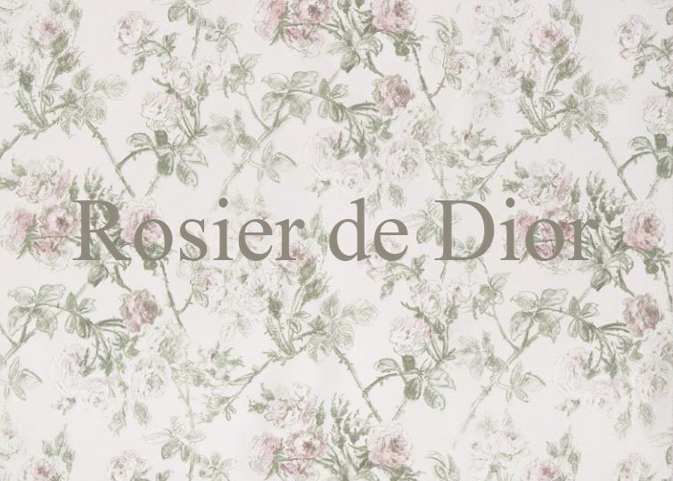 Разбираем образ от Dior. Знаменитый узор «Rosier de Dior».
