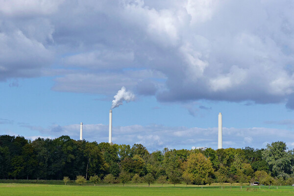 crazymonke9/Shutterstock/FOTODOM   📷