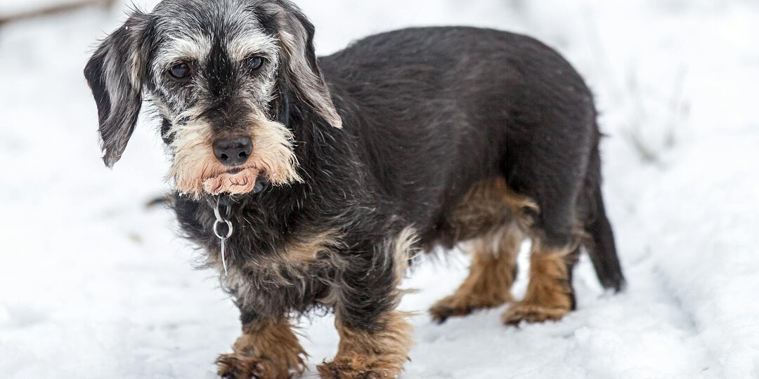 Я, наверное, пойду…