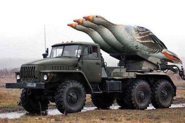 Опасные гуси