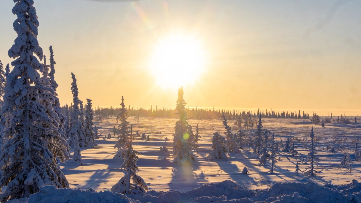    Фото: Никита Погодин / «Ямал-Медиа»