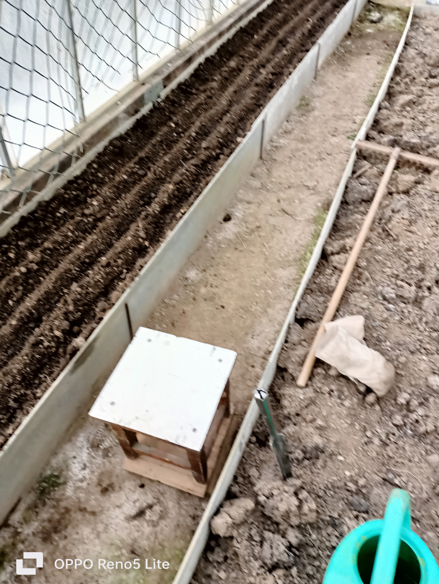 Инвентарь: табурет, лейка, грабли, палка-копалка, рукавички 