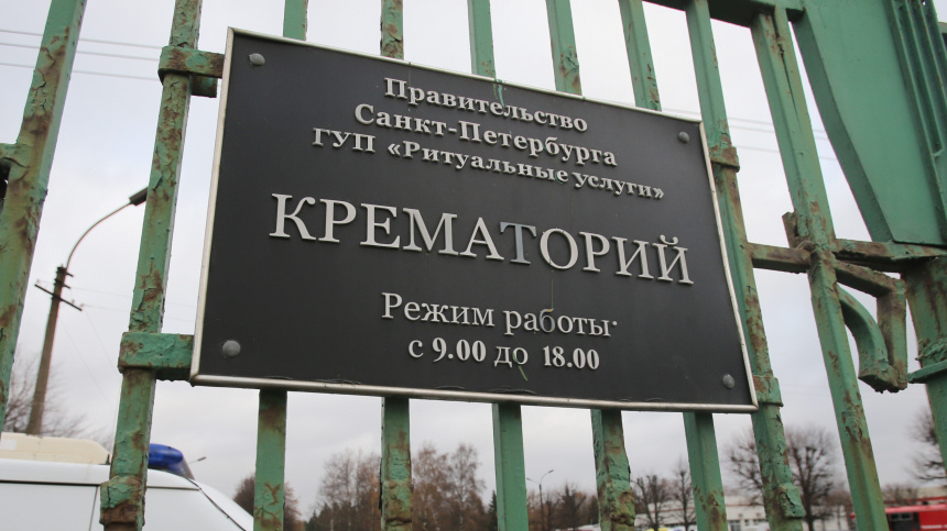    Фото: © РИА Новости/Игорь Руссак