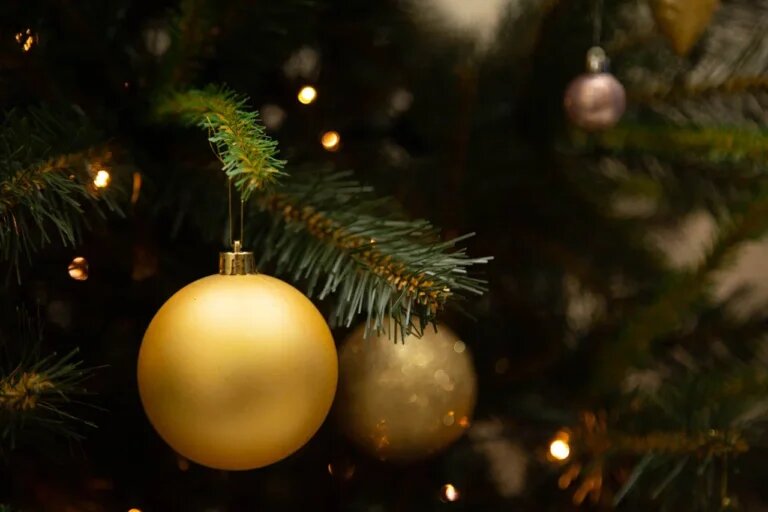    Фото: Общественная Служба Новостей Марта Леви