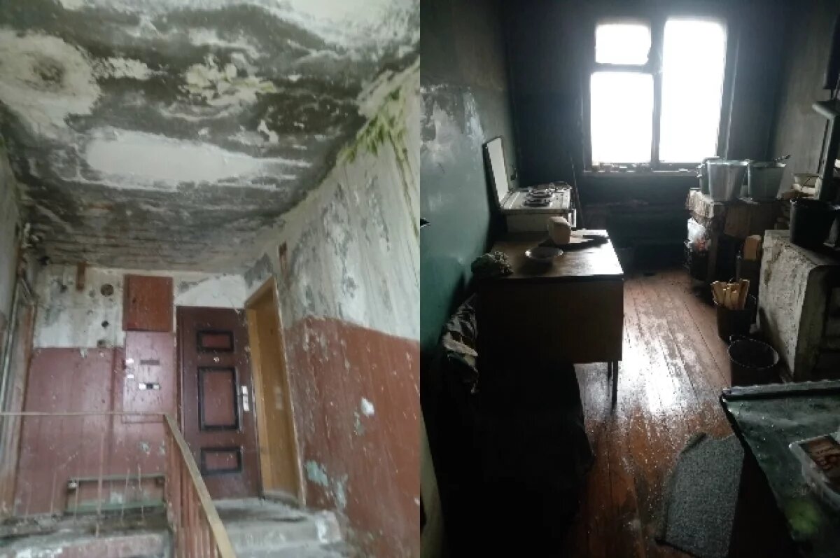    Плесень и сажа.