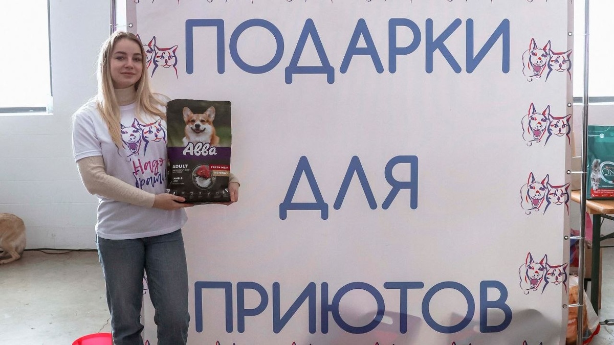 Вы принесли много подарок для животных из приютов