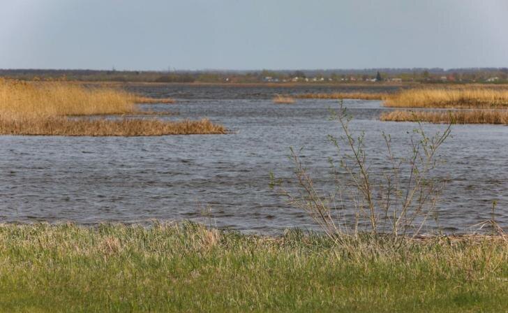    фото Юрий Еськов/Курские известия