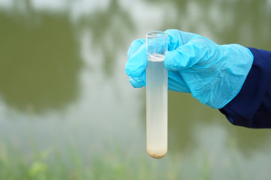    Shutterstock/FOTODOM