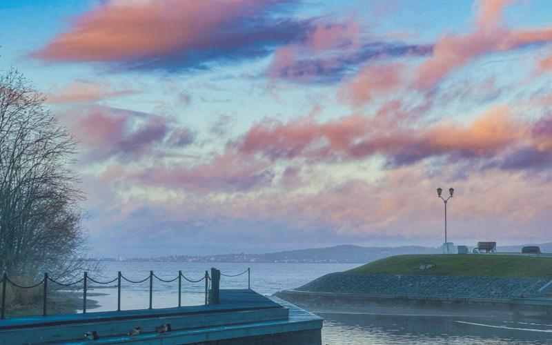    Арина Степенная