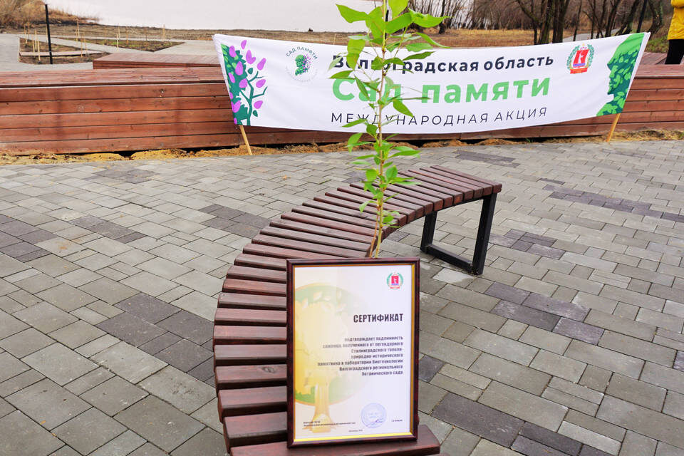    Фото: администрация Волгоградской области