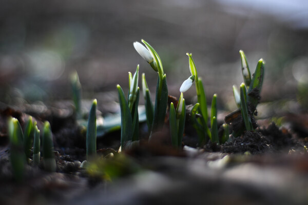 Владимир Астапкович/РИА Новости   📷