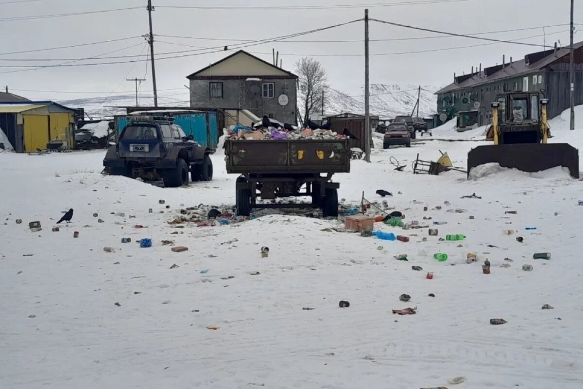    Жительница камчатского села пожаловалась на мусор и собак возле детсада