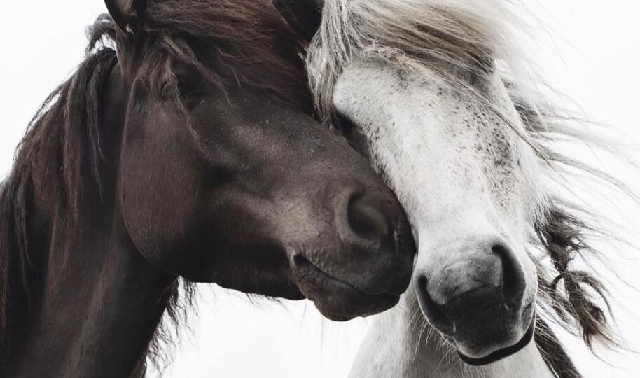 Про Нежность