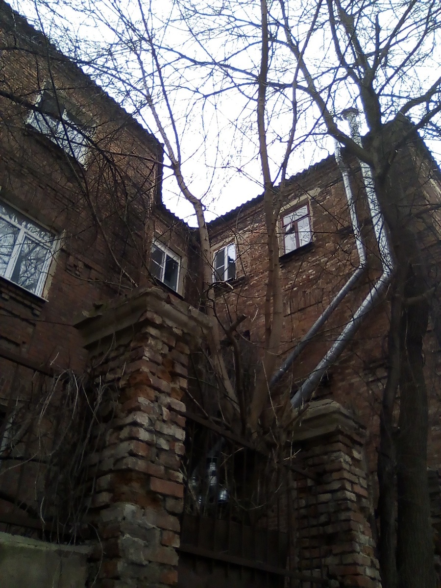 Фото автора публикации 