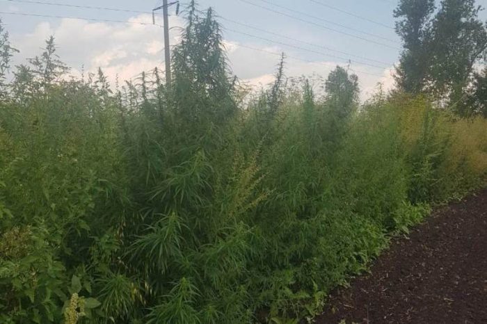 Фото умвд.22.мвд.рф