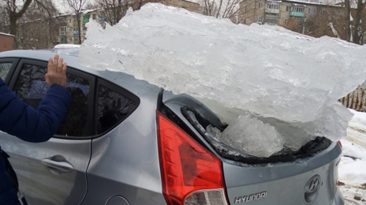 Фото из открытых источников.