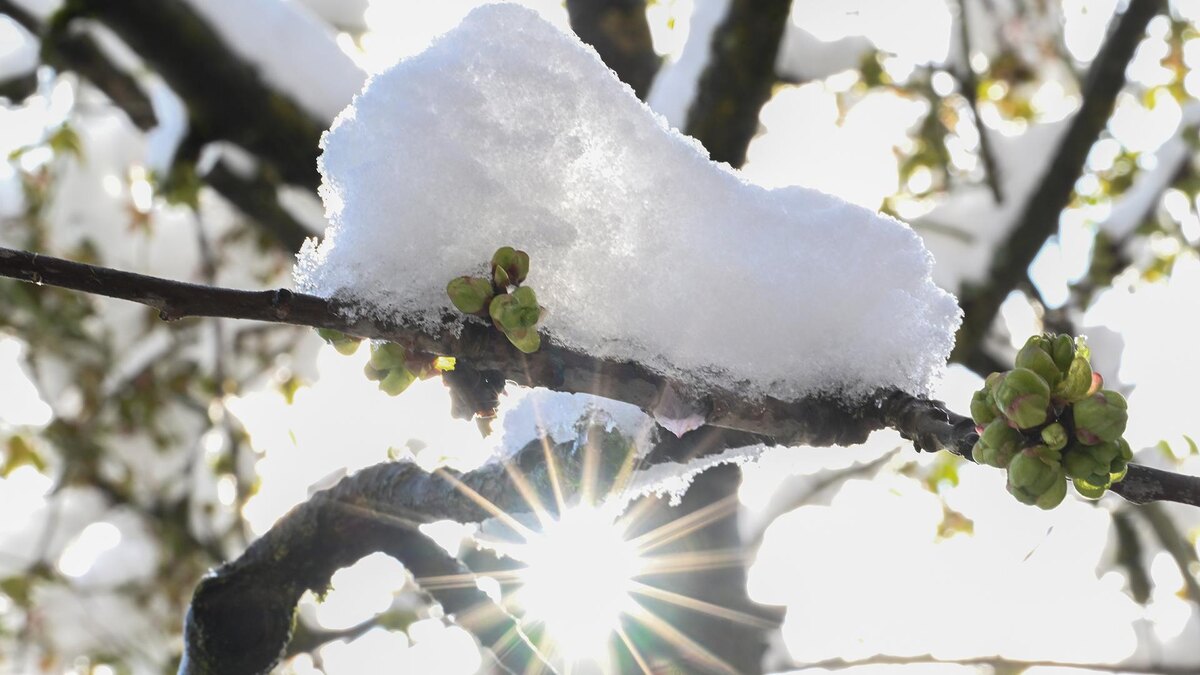 Фото: Bernd Weißbrod/globallookpress.com