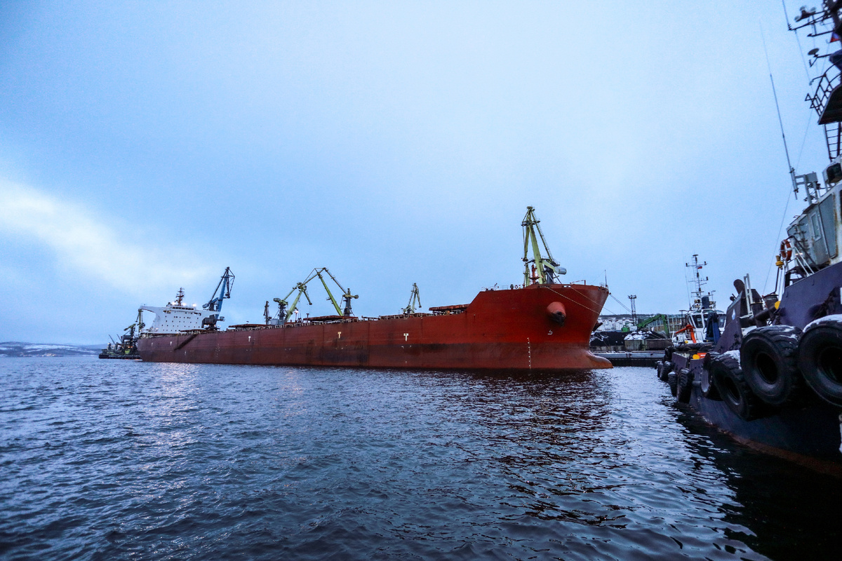 Кейпсайз грузится у причала Мурманского морского торгового порта. Фото пресс-службы ММТП.