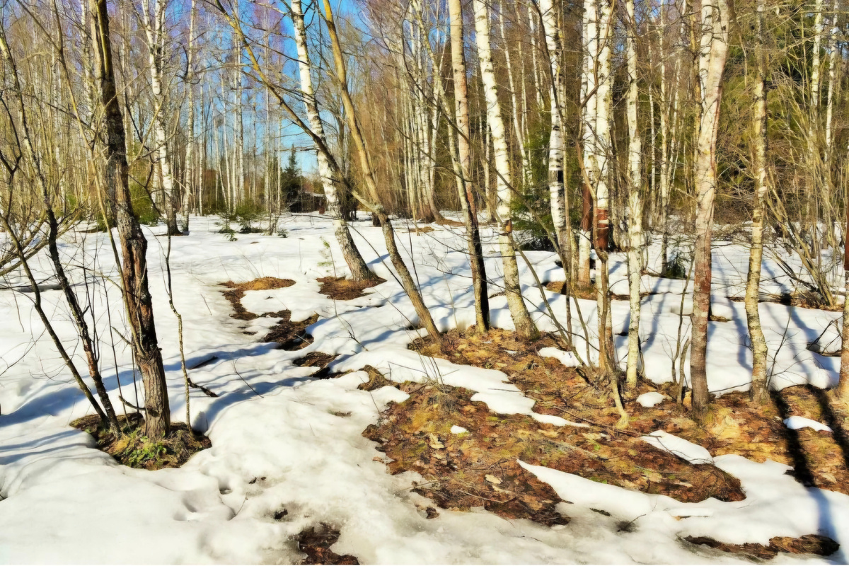 Изображение из открытых источников 